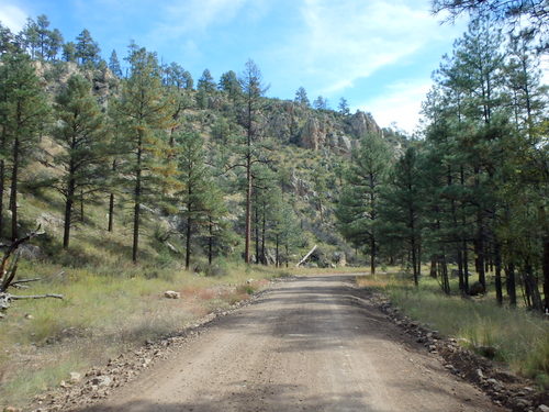 GDMBR: Heading north on NF-28, La Jolla Canyon, Gila NF, NM.